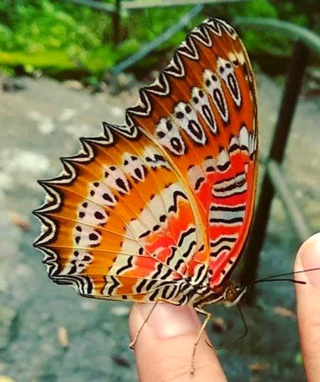 Beautiful Nature image