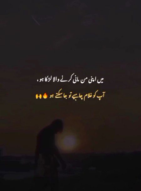 Attitude Quotes image