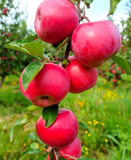 Beautiful Nature image