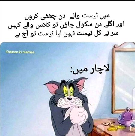 Memes & Satire image