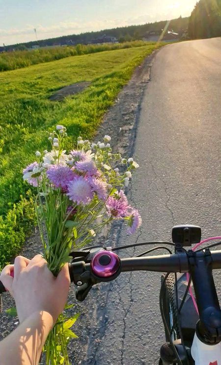 Beautiful Nature image