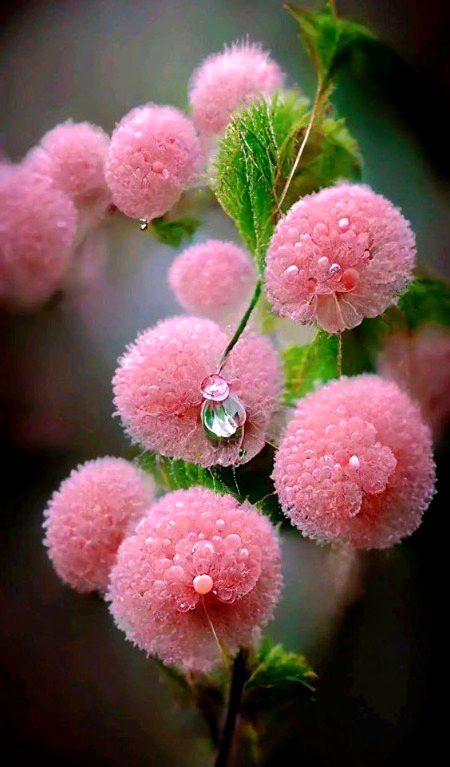 Beautiful Nature image