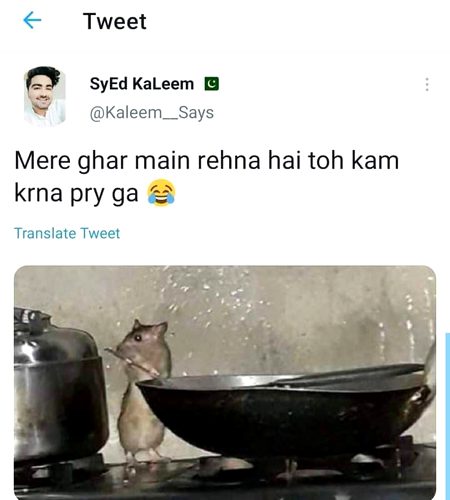Memes & Satire image