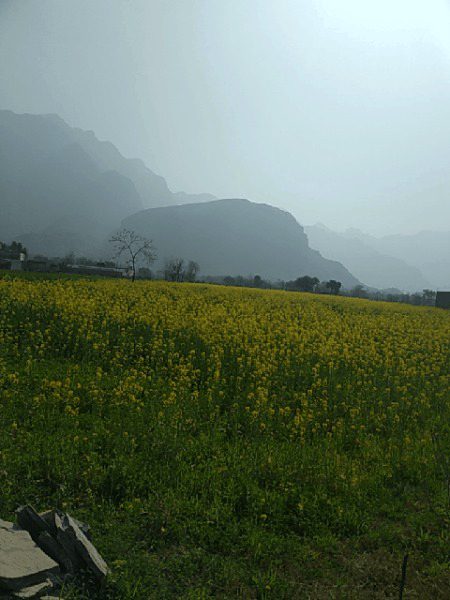 Beautiful Nature image