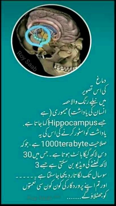 Interesting Posts image