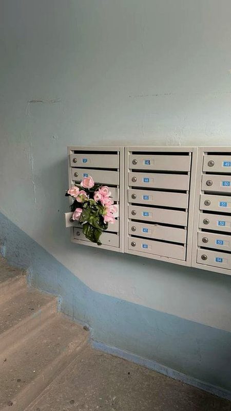 *لوگوں سےاپنی زندگی کو موازنہ کرنا چھوڑ دو*
*ہر انسان کا غم مختلف ہوتا ہے۔۔*
“Every person carries a different kind of sorrow.”🍂🍂