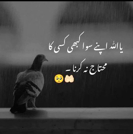 Motivational Quotes image