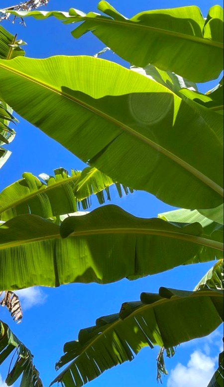 Beautiful Nature image