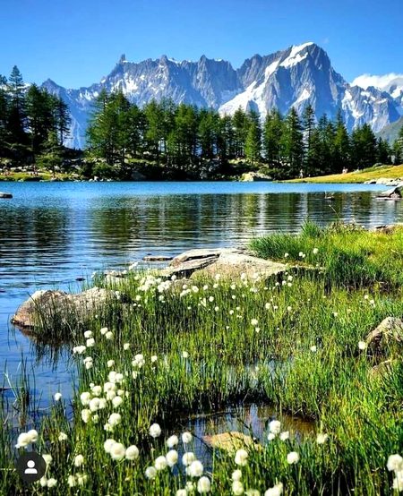 Beautiful Nature image