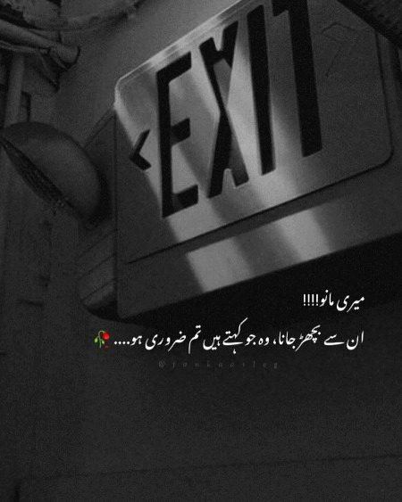 Attitude Quotes image