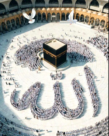 Beautiful Structures image