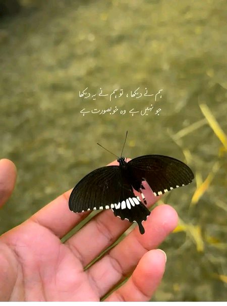 کِسی بھی شخص کا 'دُوسرا چہرہ' تلاش کرنے کی کوشش مت کرو،
تُمہارے لیے یہی کافی ہے کہ اُس نے تُمہارا احترام کِیا اور اپنا 'بہتر چہرہ' تُمہارے سامنے پیش کِیا ــــ🙂