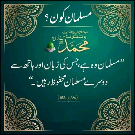 Gnngfhff njgvbhg nhfvb