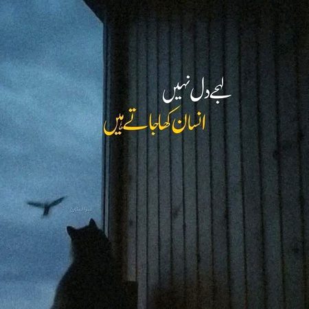 جسے فٹ اُسے گفٹ۔🍂
jisy fit usy gift🍂