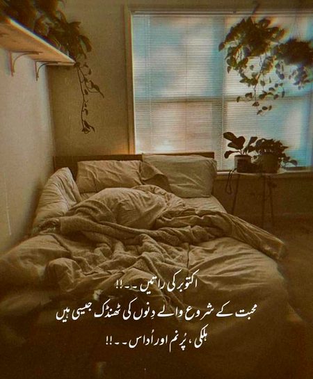 Sad Poetry image
