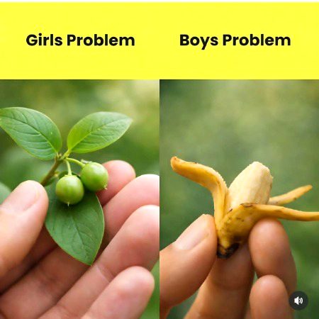 Boys problem