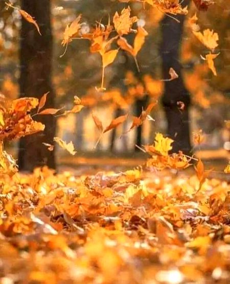 Beautiful Nature image