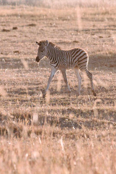 Beautiful Nature image