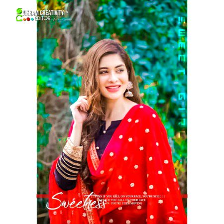 Pakistani Celebs image