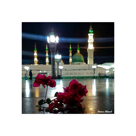 Beautiful Structures image