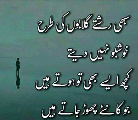 Dhoky bzon koor na qadri krny walon ko ..apny saye se bhi door rkho💔✅