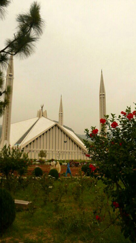 Beautiful Structures image