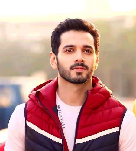 Pakistani Celebs image