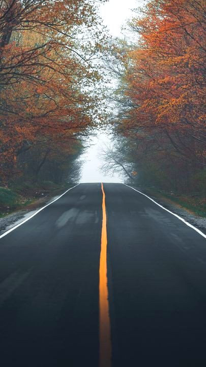 Beautiful Nature image