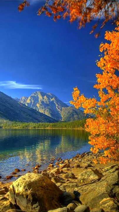 Beautiful Nature image