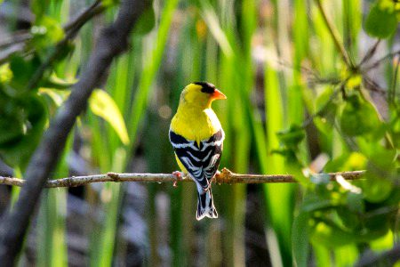 Beautiful Nature image