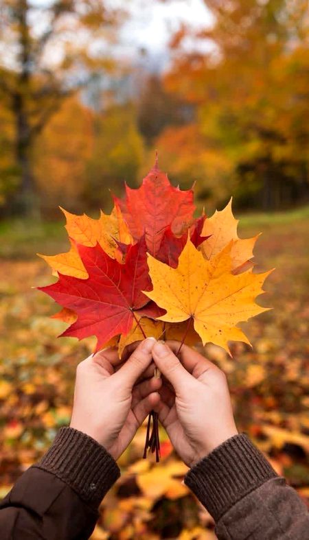 Beautiful Nature image