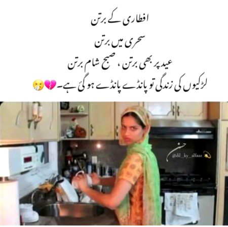 Memes & Satire image