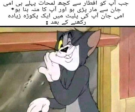 Memes & Satire image