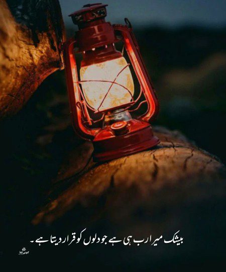 Beshak✨