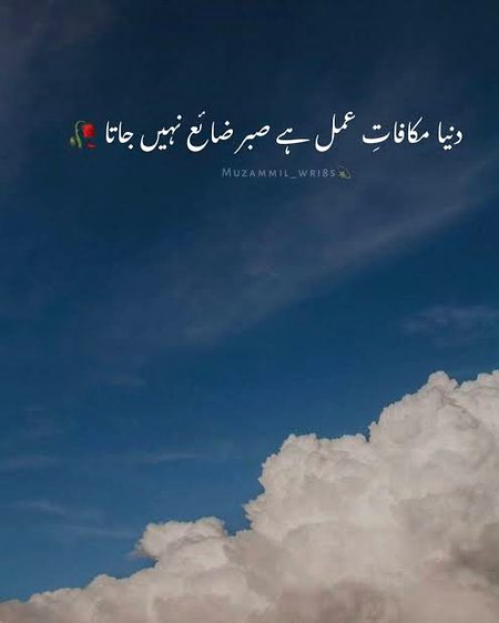 🍁Zoq_Shab🍁