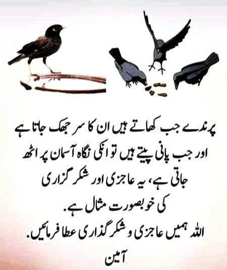 🇵🇰🇵🇰 سبحان اللہ 🇵🇰🇵🇰