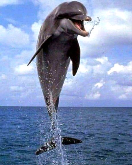 Beautiful Nature image