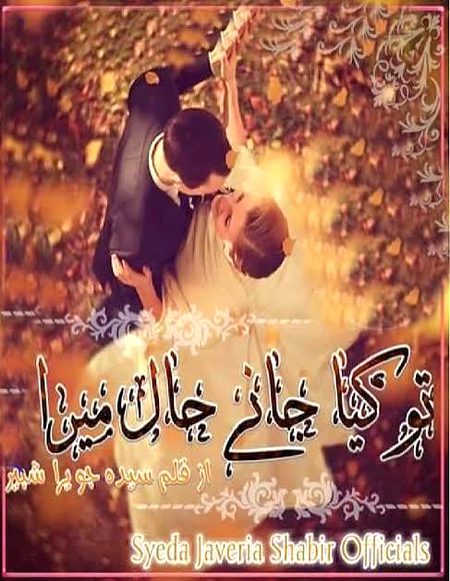 Romantic Novels image