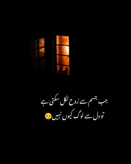 Kashif_Rajpoot