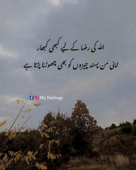 Islamic Quotes image