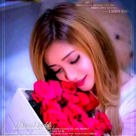 .q3 🌷🌷
How🌼🌼🌷 r 🌻🌻🌺u 🌷🌷all💮🌷...
Good🌷🌷 Nite 🌻🌺all🌷🌷