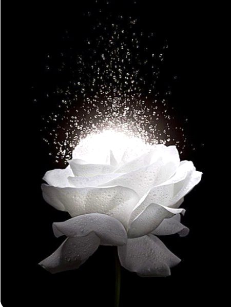Digital Art image