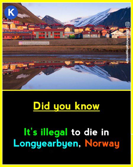 Interesting Posts image
