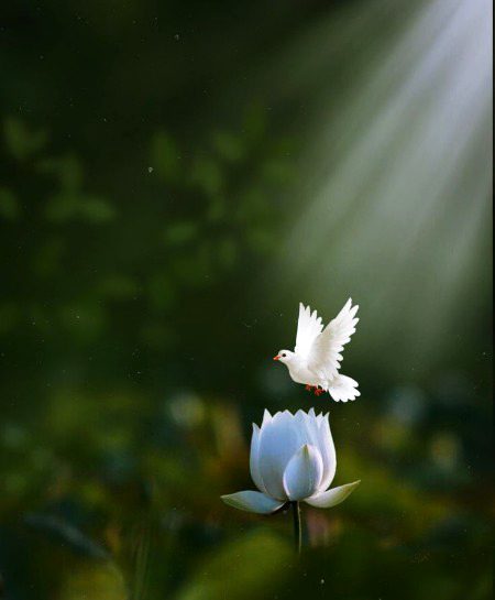 beautiful ...