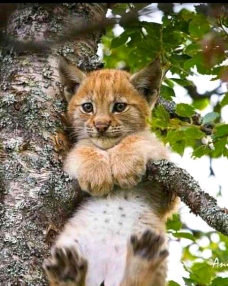 Beautiful Nature image