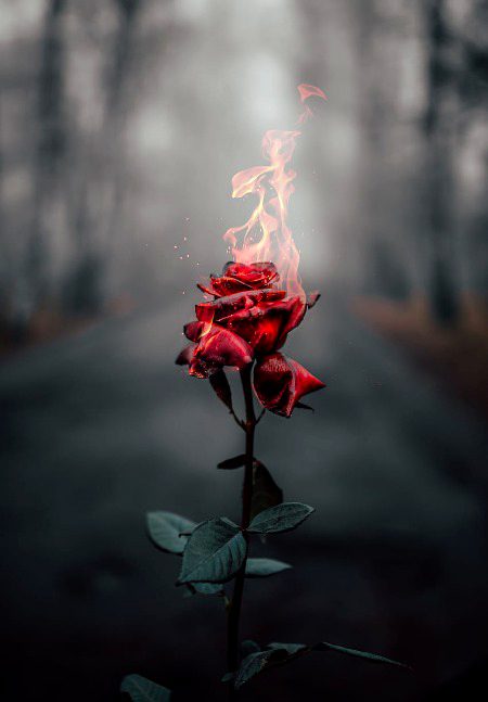 Digital Art image