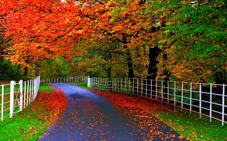 Wao.❤️
Kash kbi hm un k sath is rsty py chlein🙈