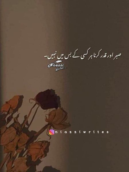 Saber krain or mukhlis logo ki qadar krain