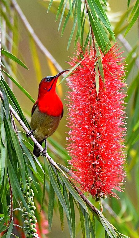 Beautiful Nature image