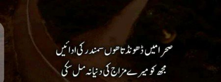 Dunya tere mzaj ki bndi nh hun mn...